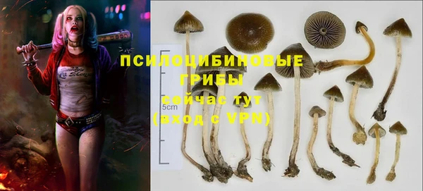 спиды Алзамай