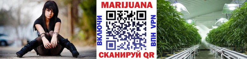 Бошки марихуана планчик  Купить закладки  Инсар 